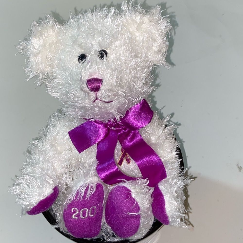 2007 COLLECTICRITTERS LIMITED EDITION TEDDY BEAR 🧸
